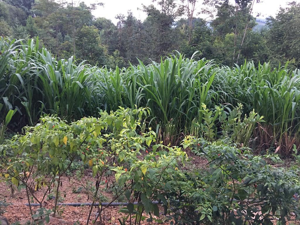 Hong Thu Homestay & Bungalow Quan Ba Esterno foto
